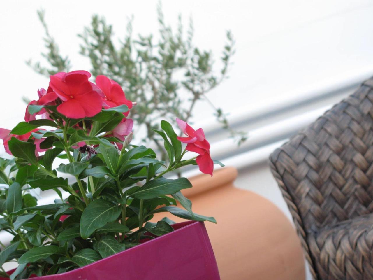 Mama Suite Lecce Luaran gambar